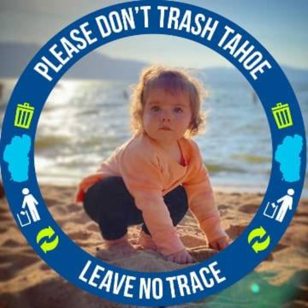 Meet your Posher, Shelley